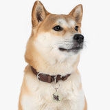 Cave Canem Pet Tag